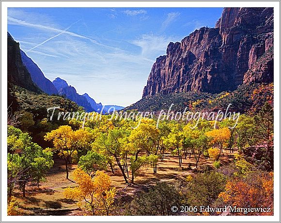 450110---Zion Canyon from the Kayenta Trail